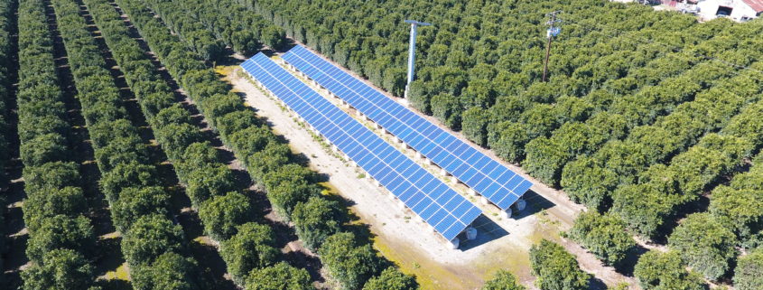 Agriculture Solar Ground Mount